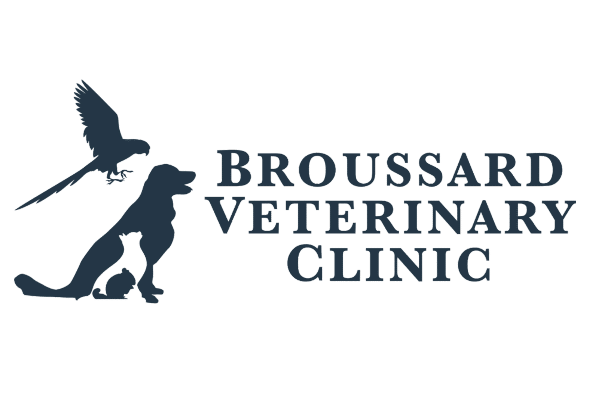 Broussard Veterinary Clinic Logo
