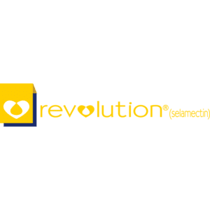 revolution logo