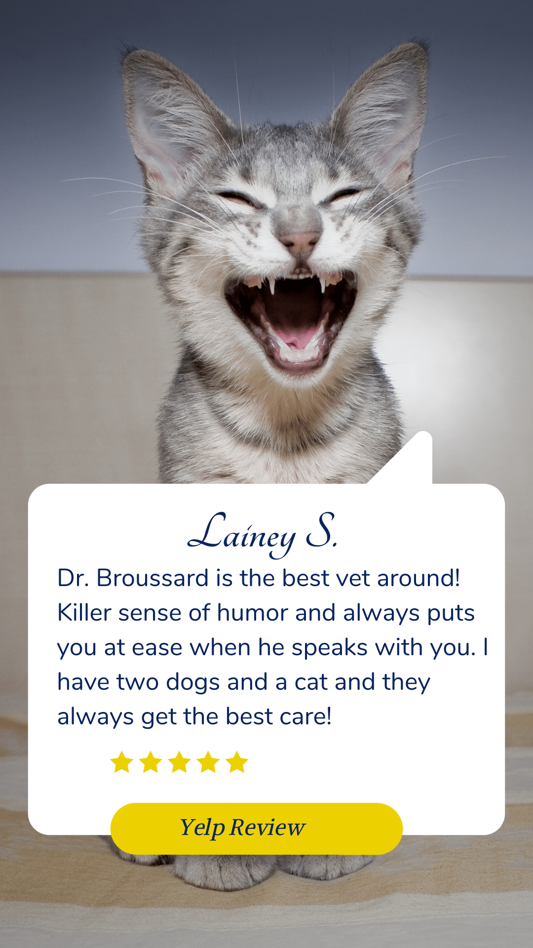 testimonial for Broussard veterinary clinic Lafayette, la
