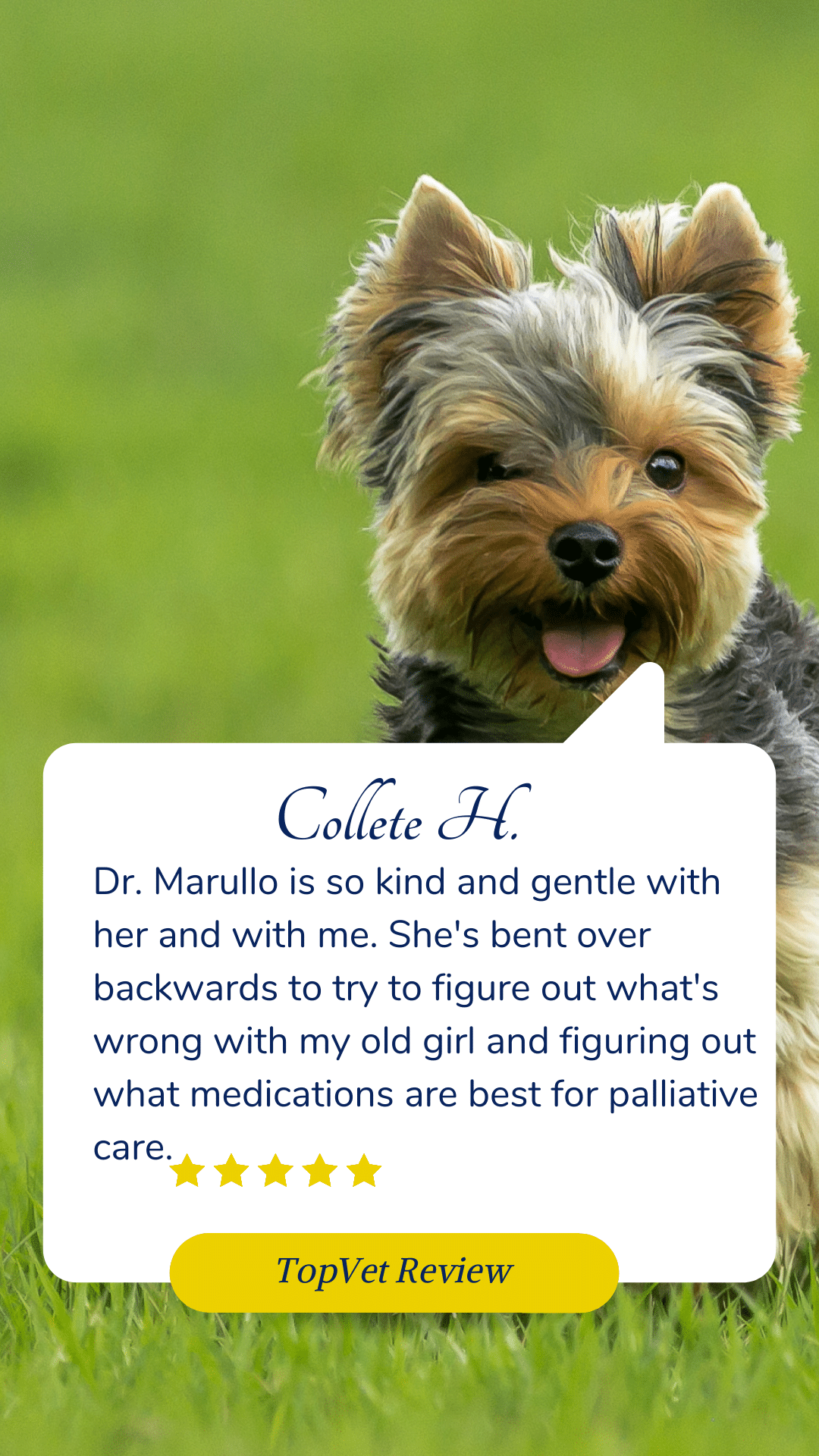 testimonial for Broussard veterinary clinic Lafayette, la