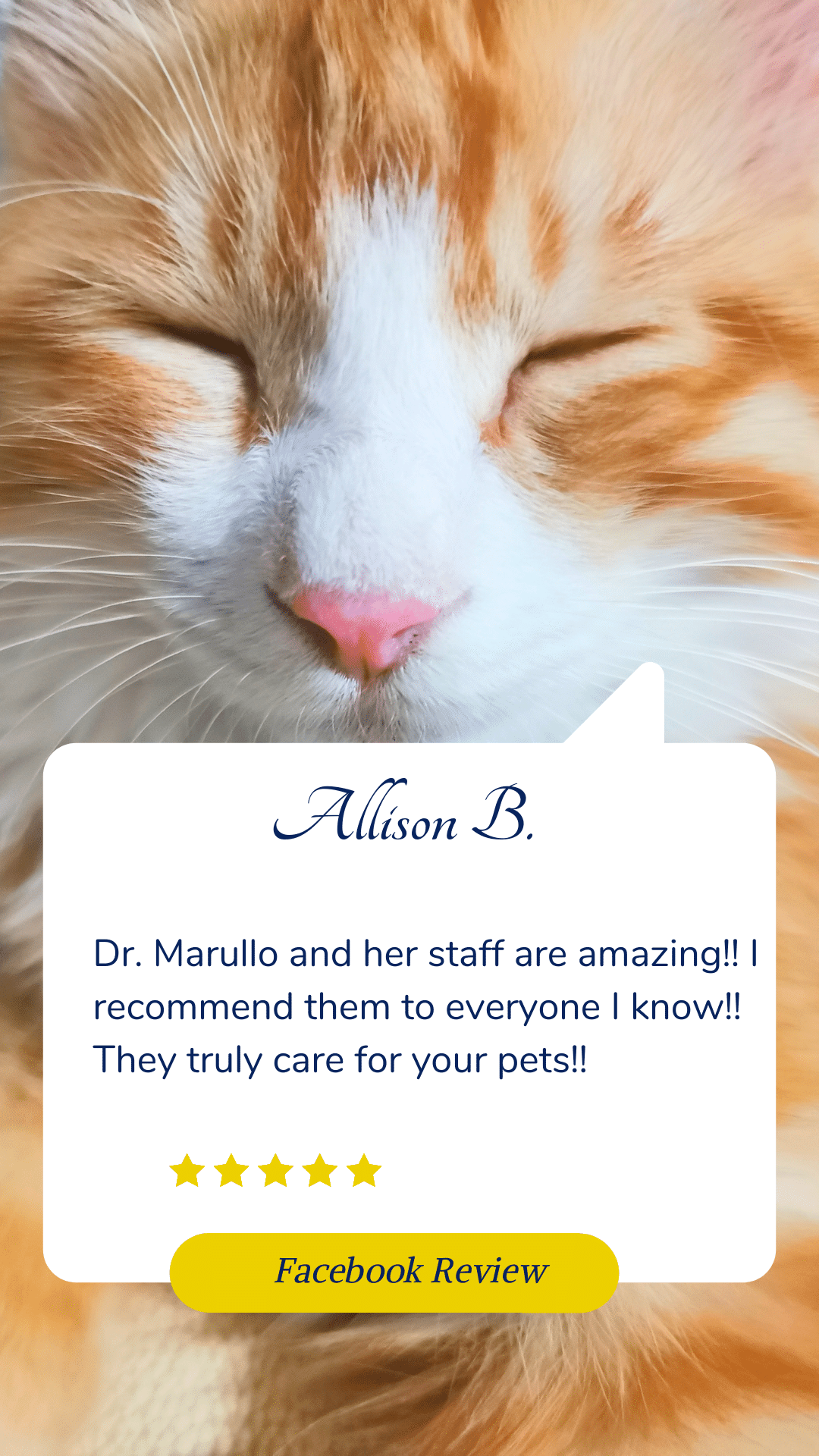 testimonial for Broussard veterinary clinic Lafayette, la