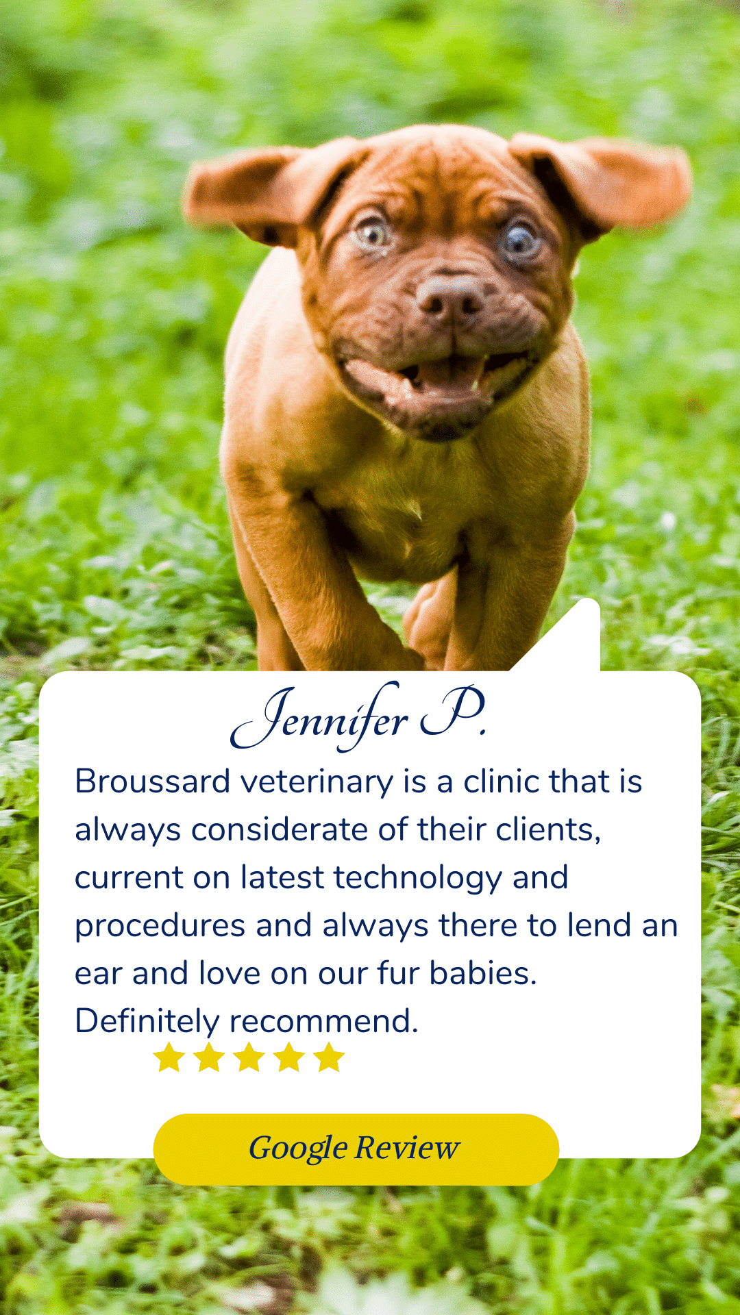 testimonial for Broussard veterinary clinic Lafayette, la