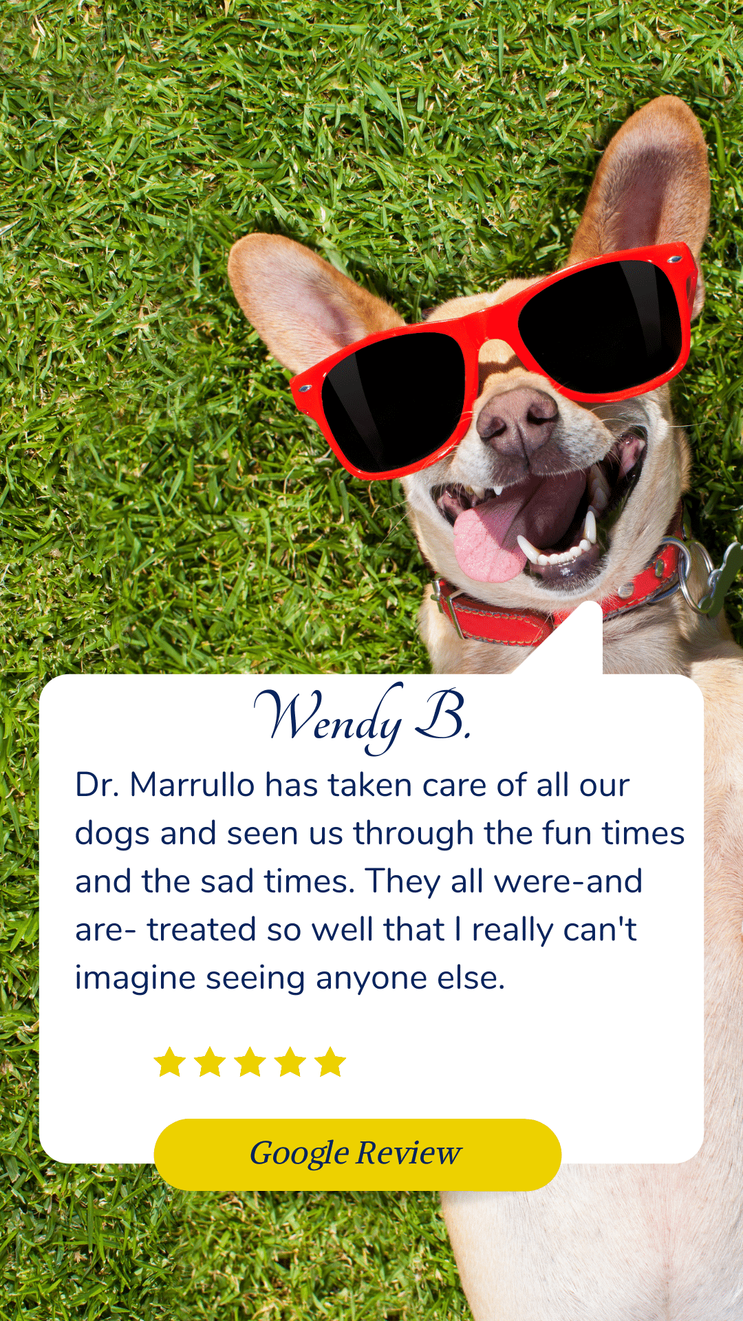 testimonial for Broussard veterinary clinic Lafayette, la