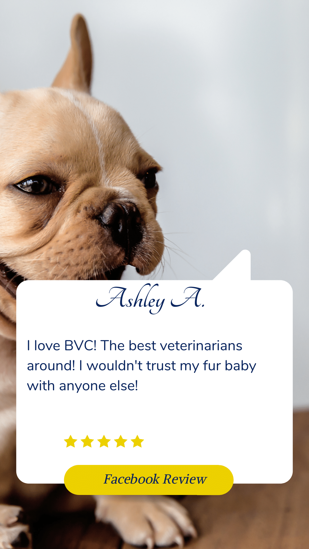 testimonial for Broussard veterinary clinic Lafayette, la