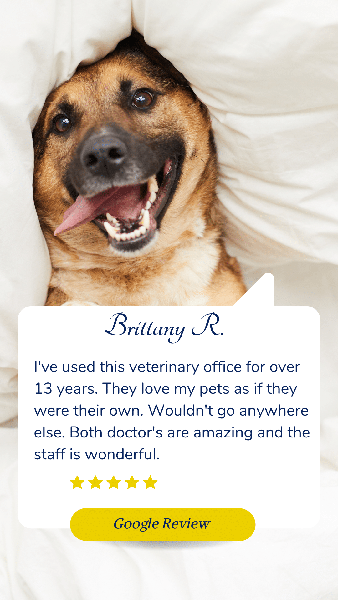 testimonial for Broussard veterinary clinic Lafayette, la