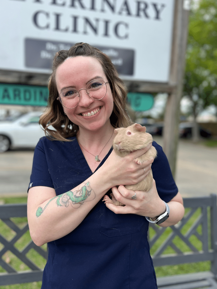 vet clinic with guinea pig